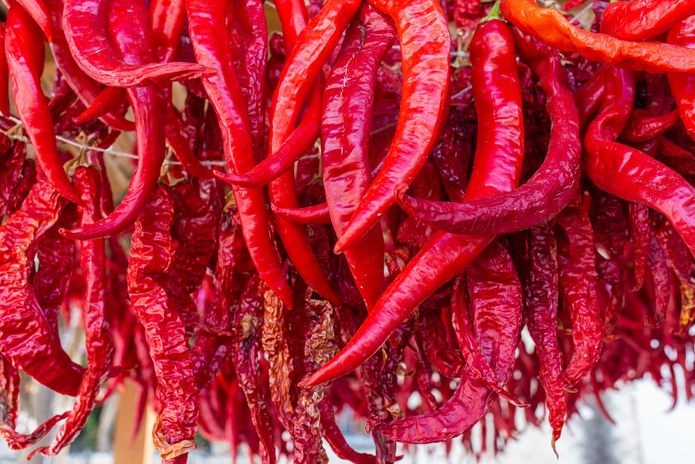 Drying Chili Peppers